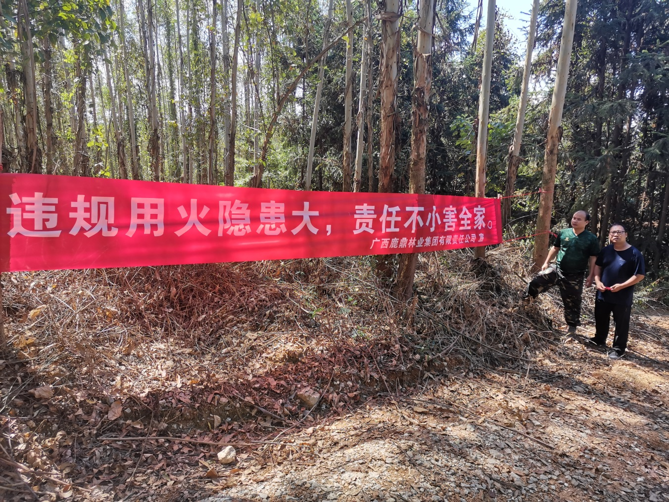 ��벢�� ����ɭ���徲������ǽ��