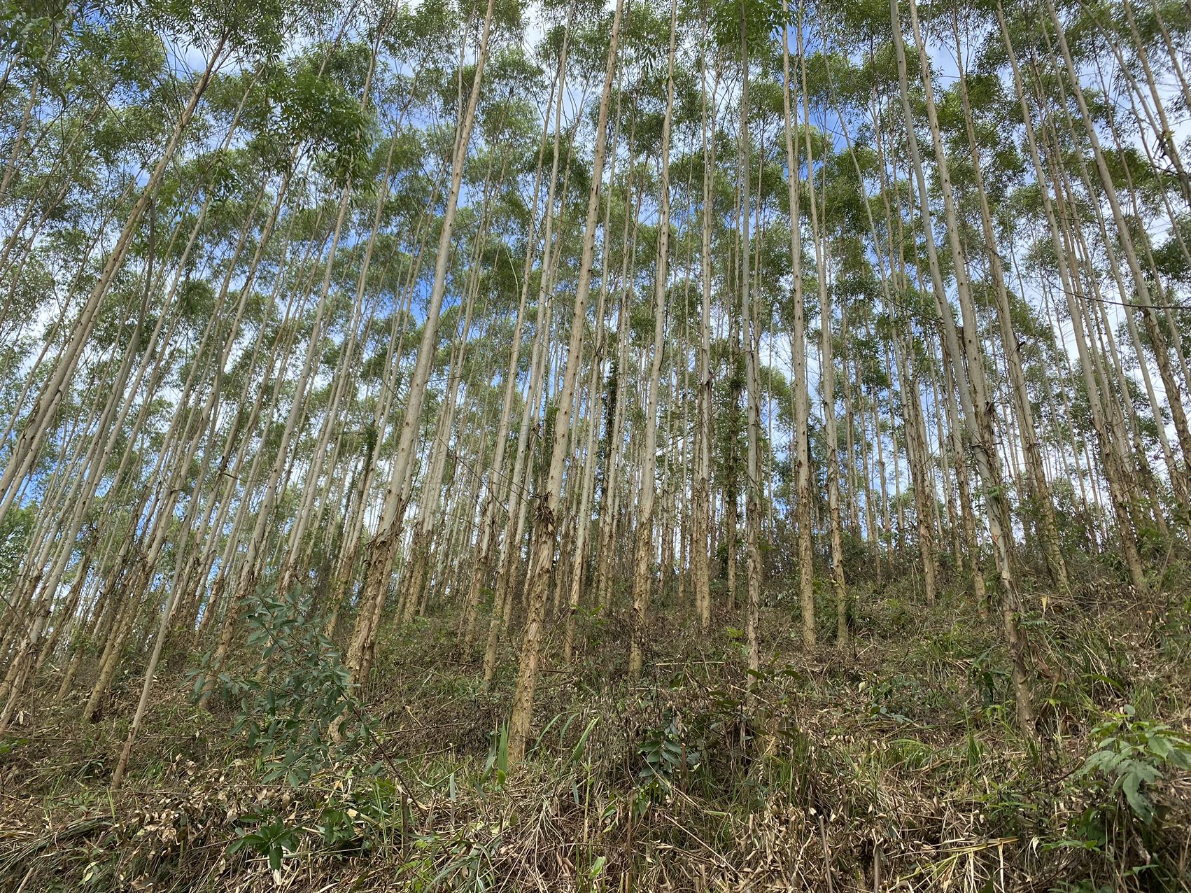 �����е�����Ī�����ȷ��������Ƭ (1).jpg