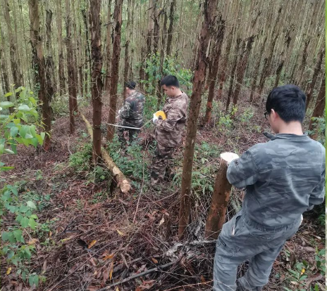 ��ţ��̳-(�Ĳ���ˮ)���ն���ͼ�� |��¹����ͬ�� �������������������ǰ��