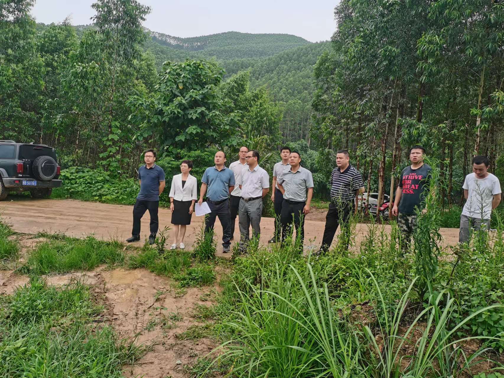 Τ�굽��ţ��̳-(�Ĳ���ˮ)���ŵ���ָ������