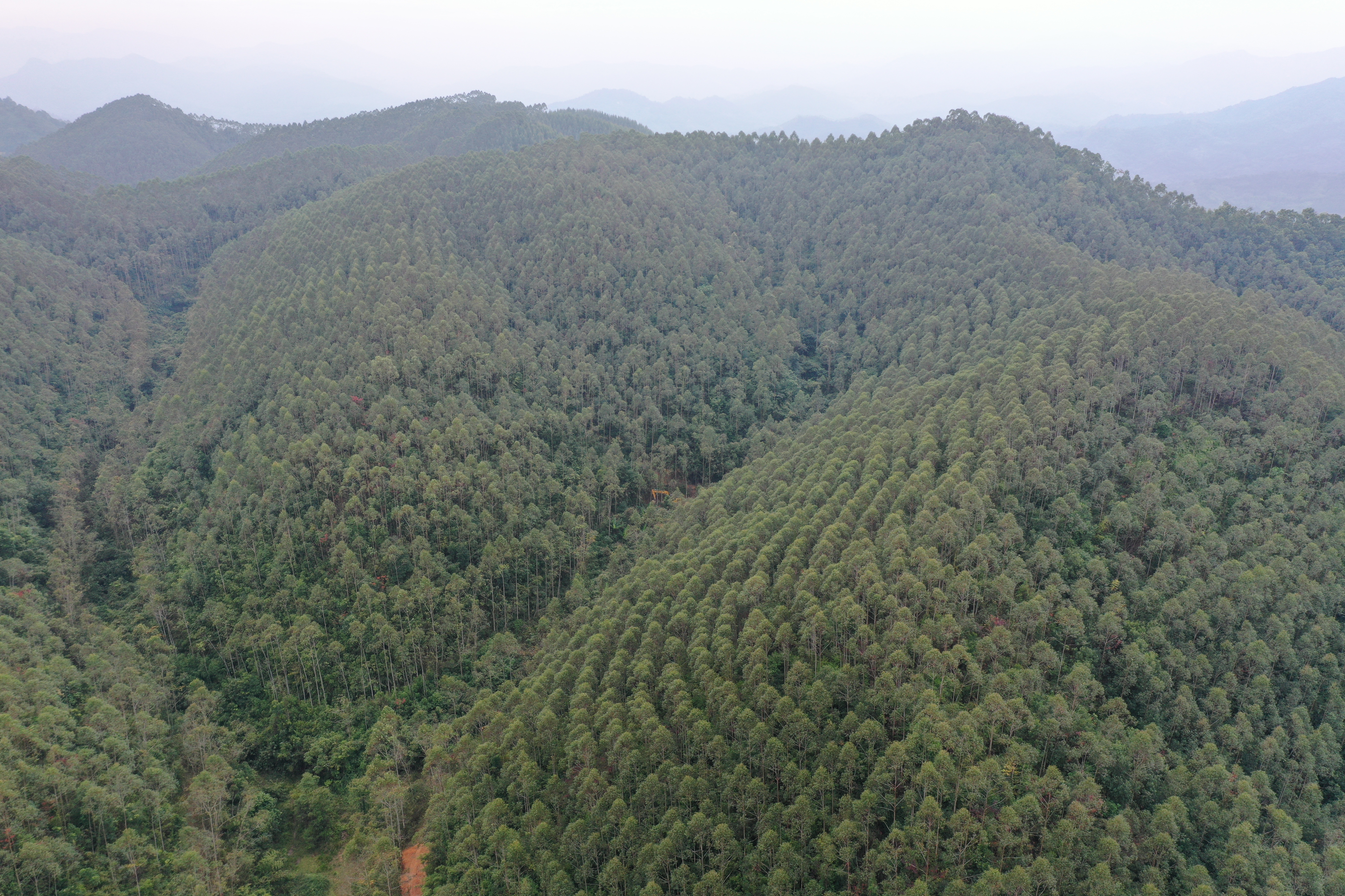 ��������÷�ݷֹ�˾ָ���ɷ����չ�����