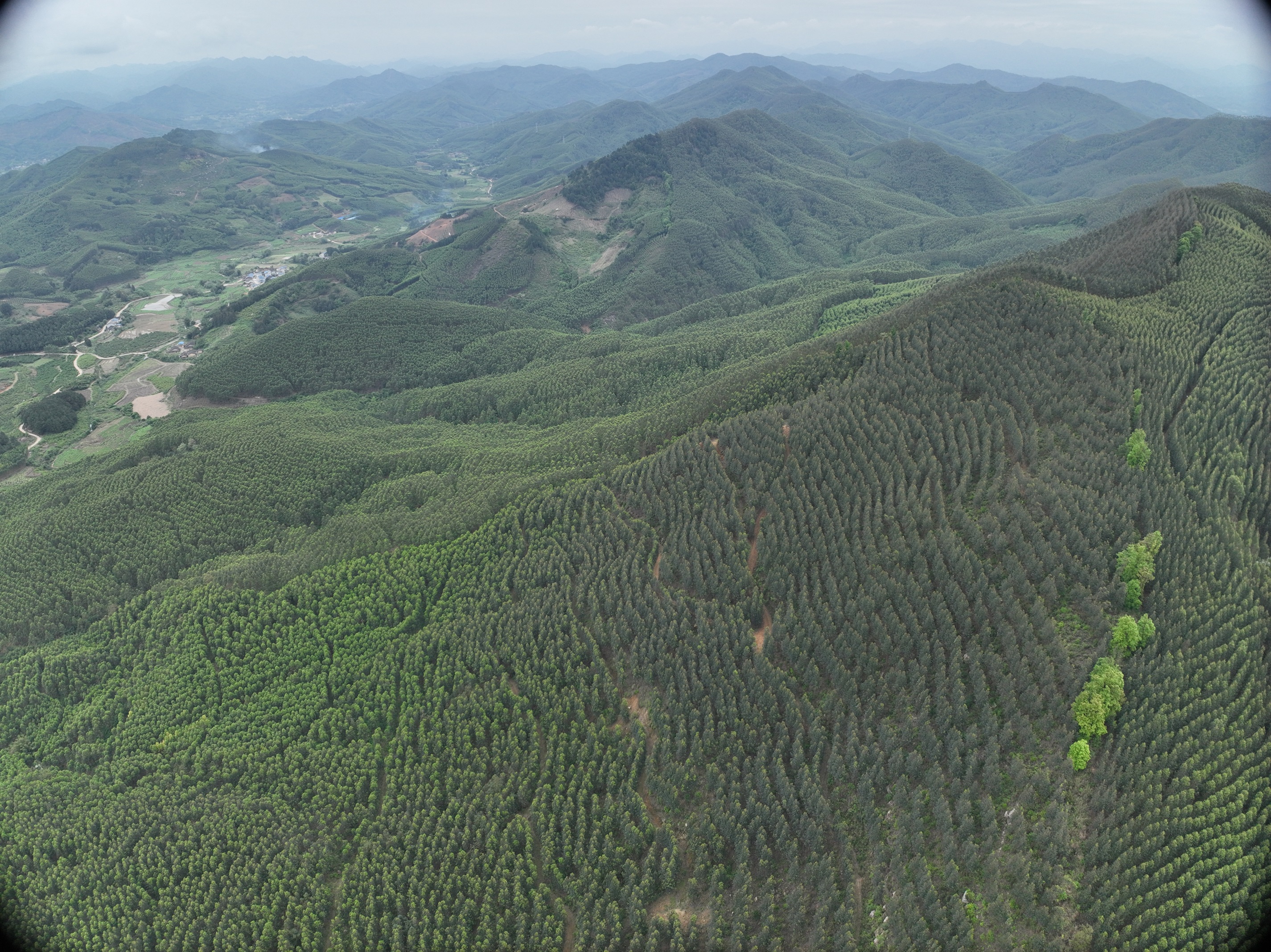 ��һ�Ͷ��ڣ���������������Ϊ��Ⱥ�˵��ޣ�