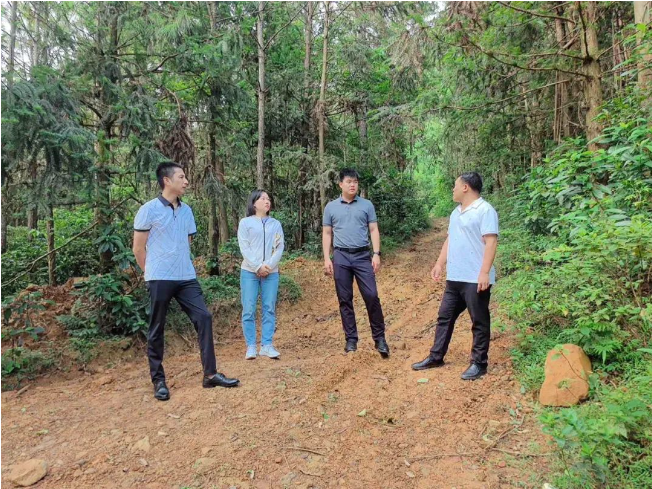 �γ���������ֹ�˾���ָ������