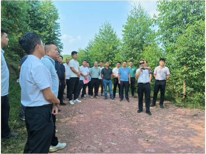 Τ��һ�е����ɽ�ֳ�����ѧϰ