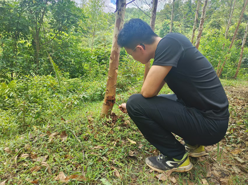 ��������С�鵽�㶫�����������Ӫ���������Ⱥ�ʩ������