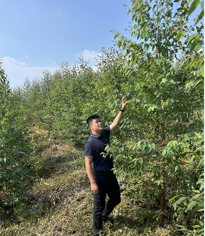 �γ�����¹կ����½���ֵؼ��ָ������