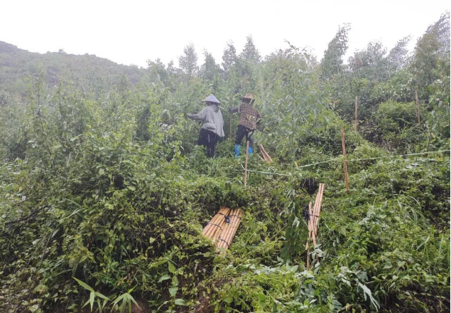 �������꿹̨������������������ʵʱ����������