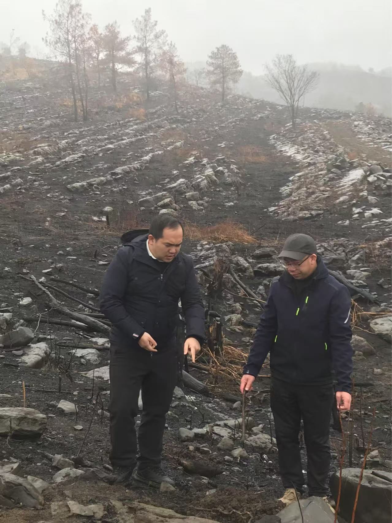 ½���¹�ɹ�˾ָ��������������