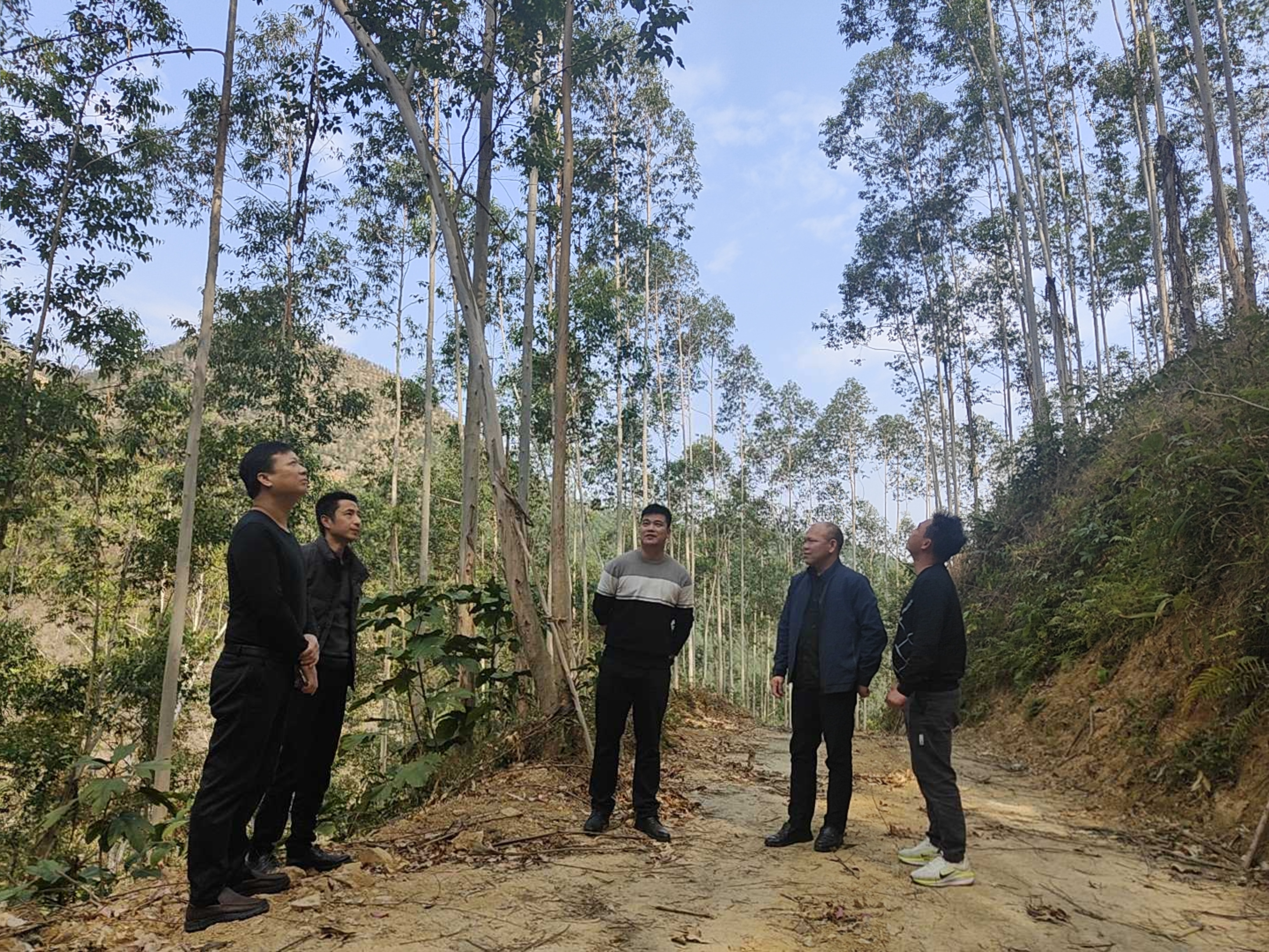 �γ������㶫�²����ָ������