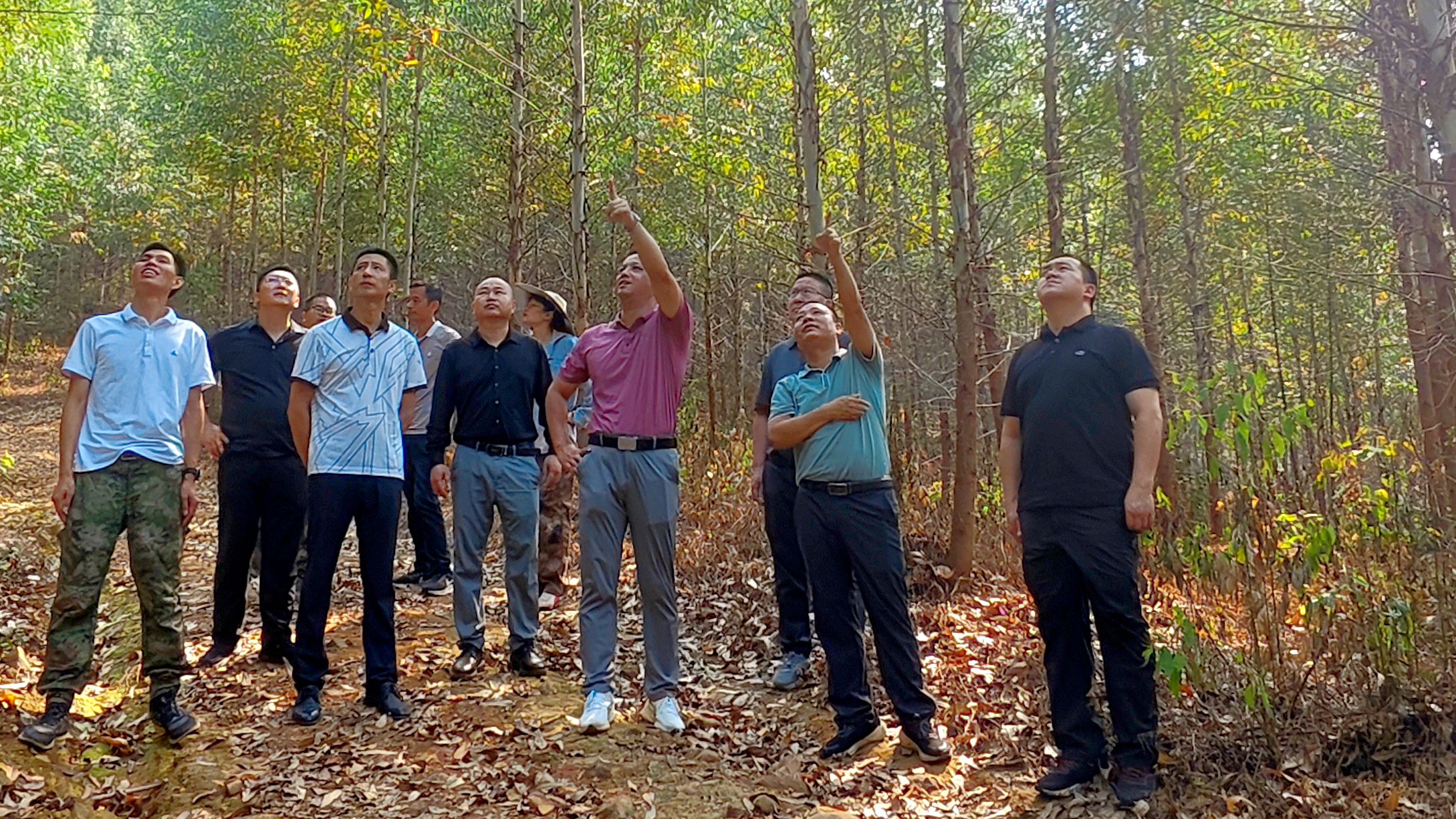 ���Ÿ����³����Ķ�����ά�����㶫�²� ��λ����ָ��