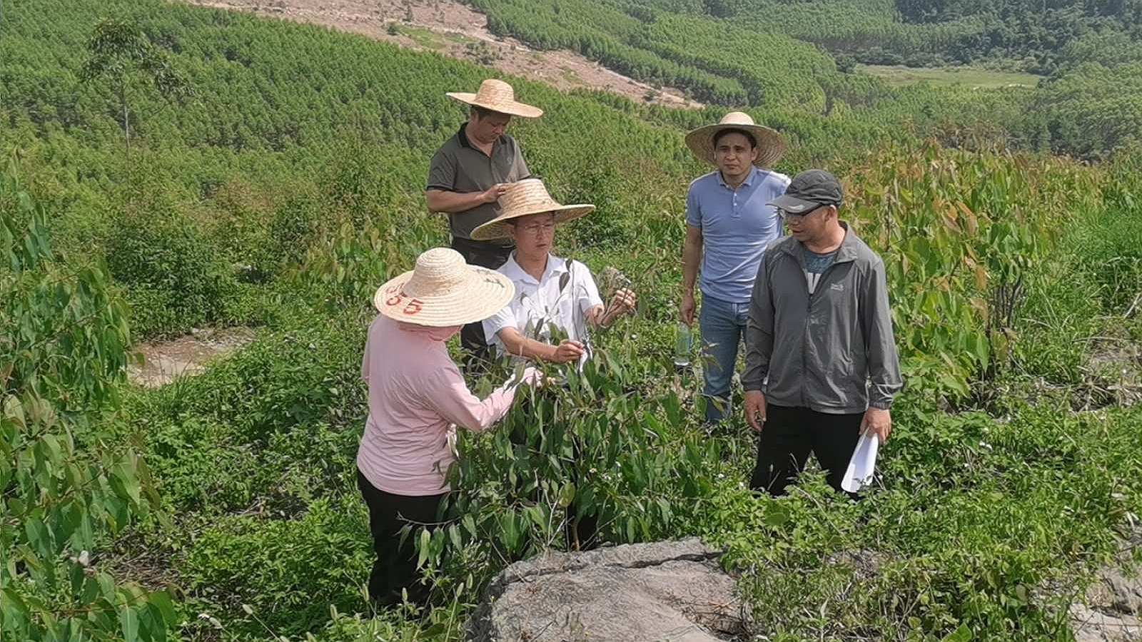 ���Ž��ֳ�������Ф�縣����ţ��̳-(�Ĳ���ˮ)���š�˫�ء���Ŀ�����ֵؼ��ָ������