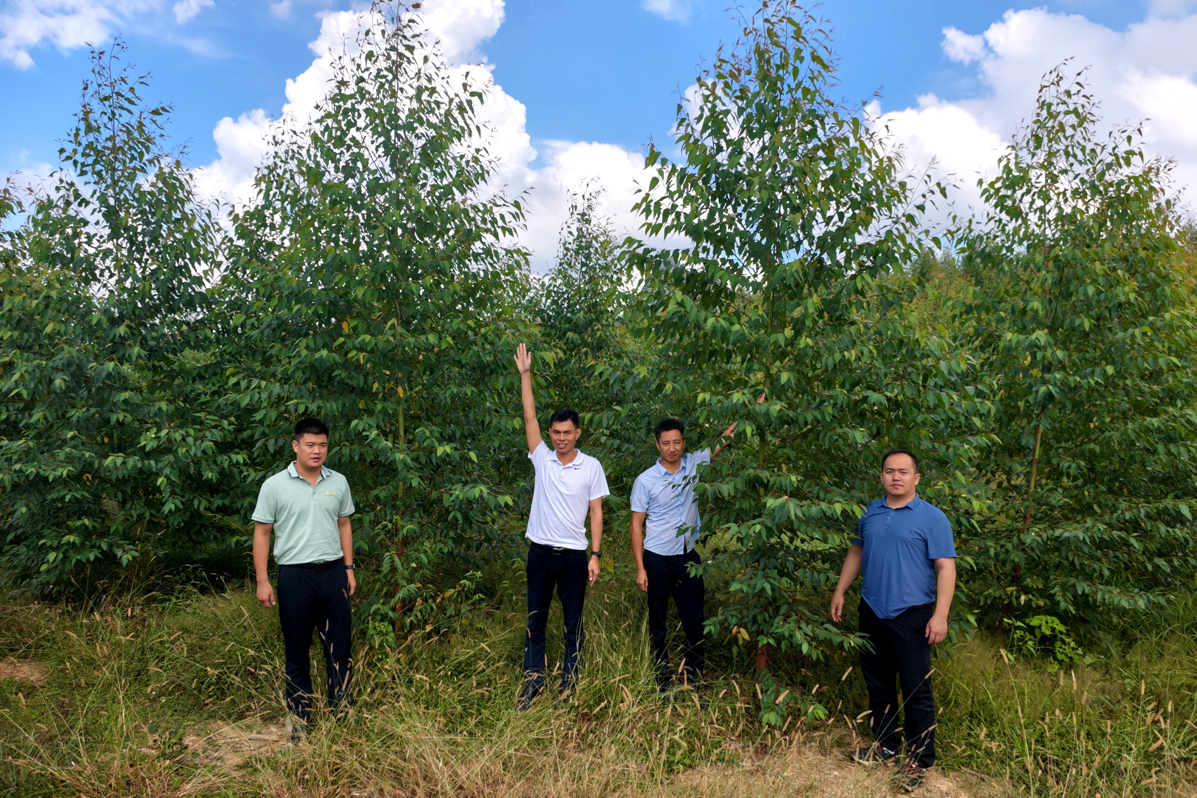 �γ�����˾������Զ��÷�ݷֹ�˾ָ������