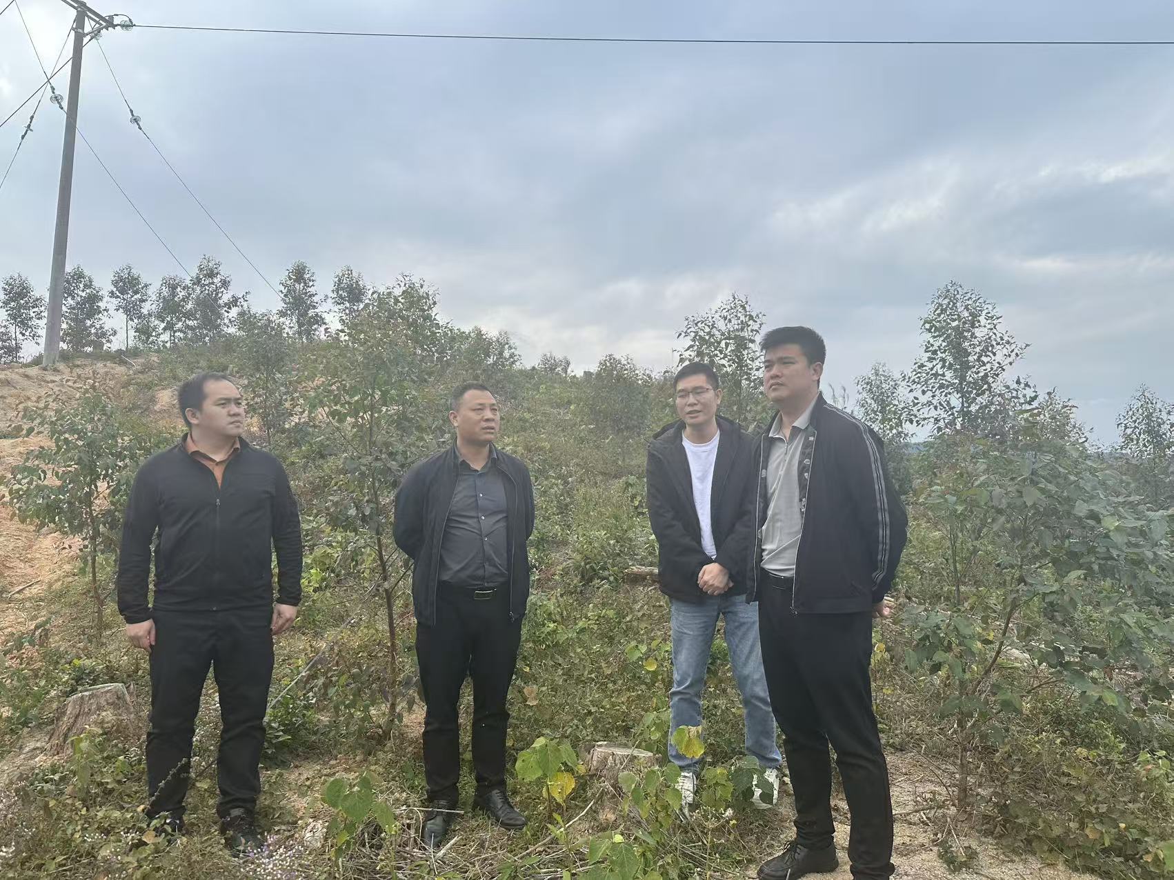 ���Ÿ����³����Ķ���÷�ݷֹ�˾���붦��˾�������